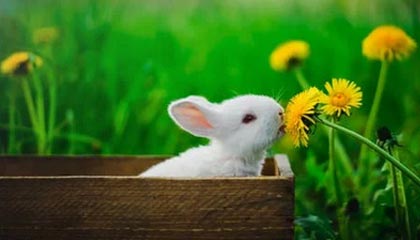 Kaiyun(中国)开云-热火翻盘步行者，季后赛首轮中巴特勒锁死对手，热火队巴特勒