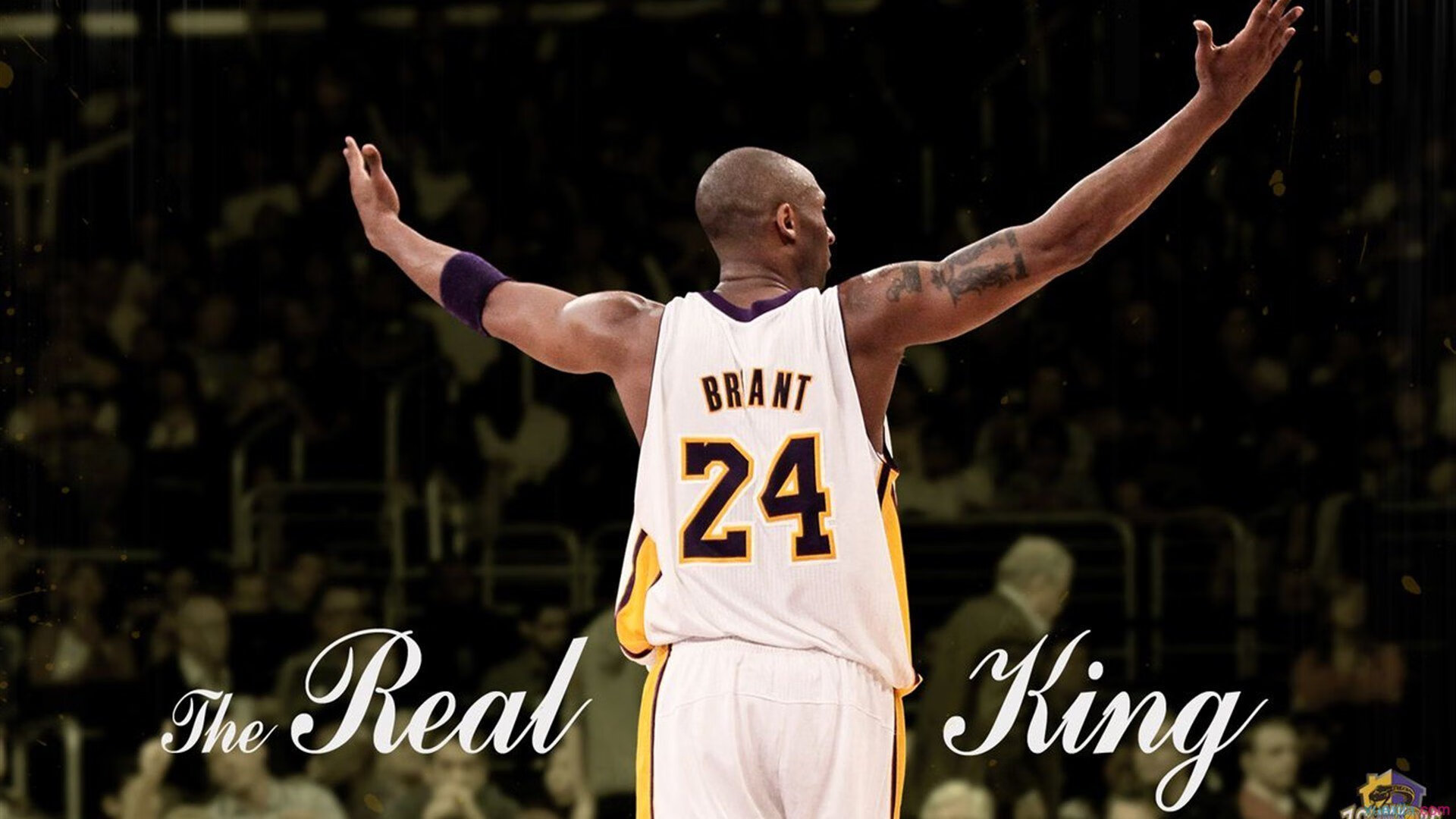 史上最“炸裂”盖帽时刻回顾，盖帽集锦高清视频